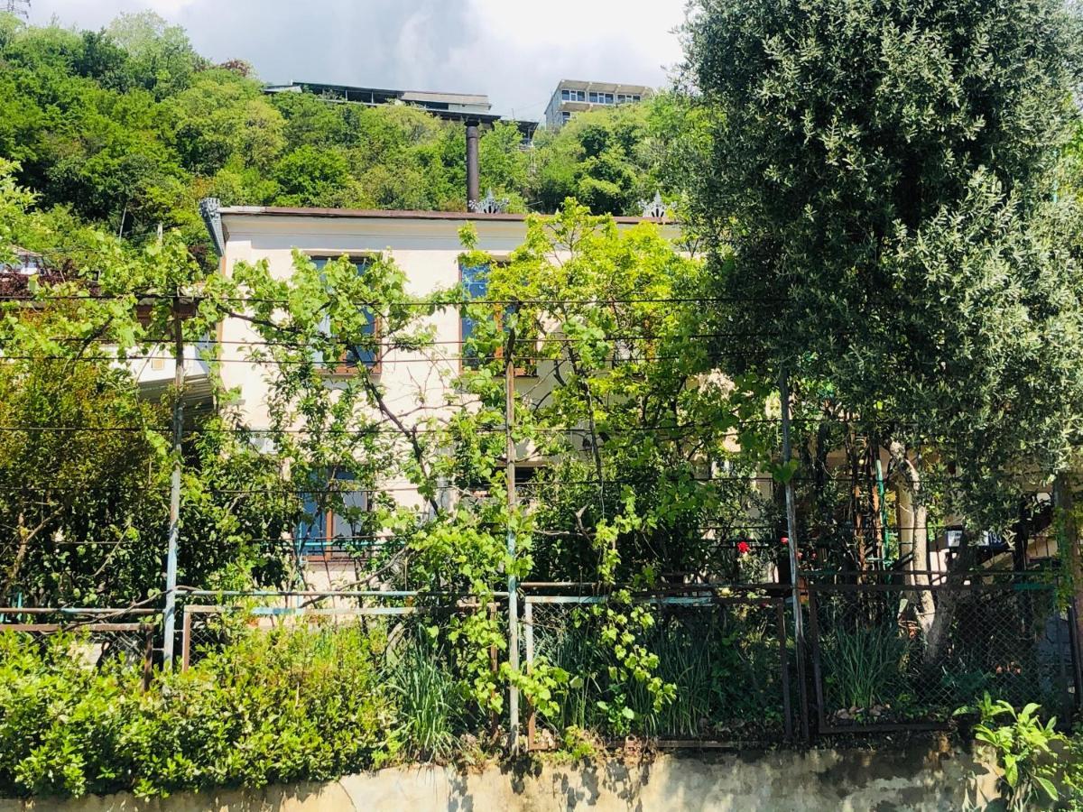 Гостевой Дом «Лиза» Gagra Exterior foto